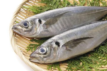 あじ　Horse mackerel