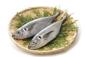 あじ　Horse mackerel