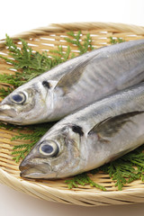 あじ　Horse mackerel