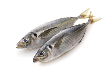あじ　Horse mackerel