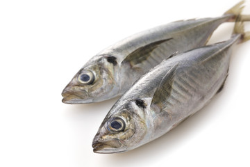 あじ　Horse mackerel