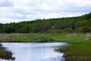 river valley and forest