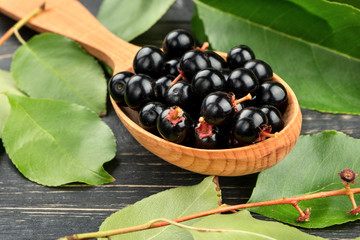 Bird cherry in spoon