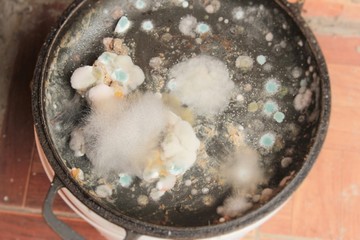 Rotten and moldy food closeup