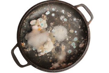 Rotten and moldy food closeup
