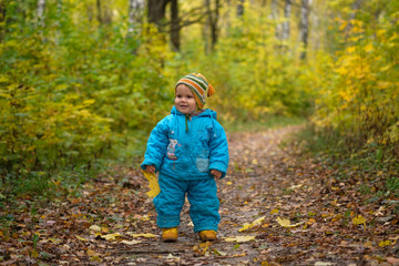 small European boy in autumn forest