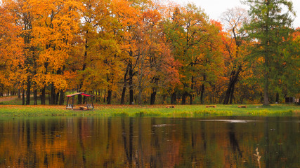 Autumn landscape with lake.
