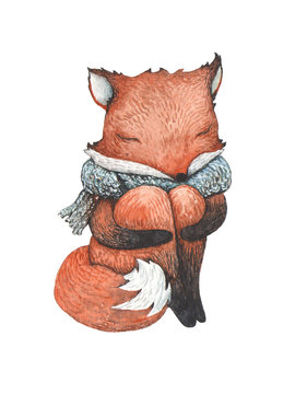 A fox holding her knees, in a warm scarf. Watercolor illustration.