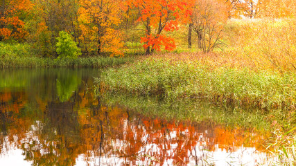 Autumn landscape with lake.
