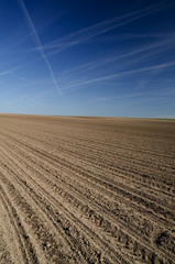 Landscape with brown field and blue sky