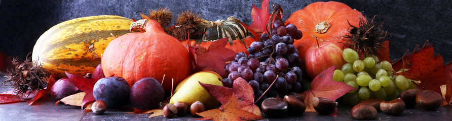 Autumn harvest seasonal fruits and vegetables on grey background.