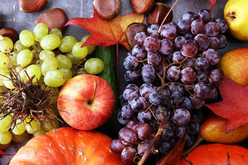 Naklejka na ściany i meble Autumn harvest seasonal fruits and vegetables on grey background.