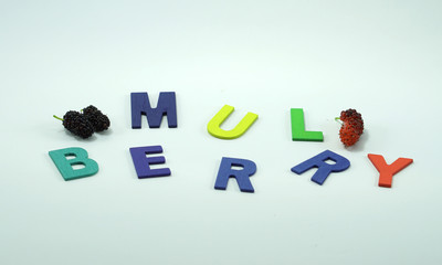   Multicolor wood letter made MULBERRY word with Mulberry fruit  isolated on white background.