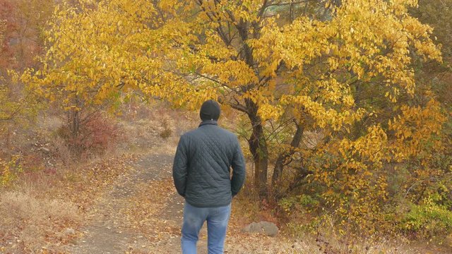 Hiking in autumn forest / Young man walking in autumn park