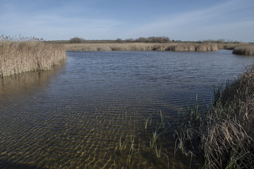 Parque Nacional de las Tablas de Daimiel