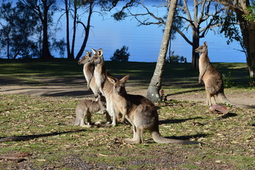 mostly traveling photos 