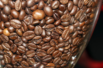 Coffee in the container for the grain of the coffee machine on a dark red background, close up 