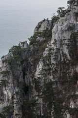 Rock with mountain pines, on the background of the sea