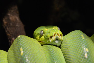 mostly traveling photos 