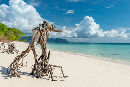 beautiful snag on the beach Poda island in Thailand, a beautiful view of the sea and mountains