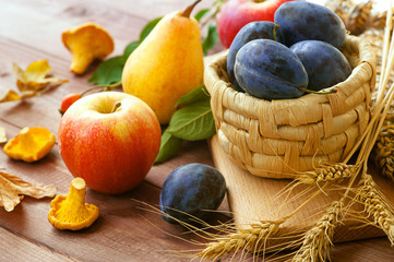 Fresh ripe pears, plums and apples in bowl on natural background. Selective focus