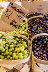 farmers market produce