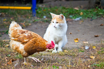 friendship