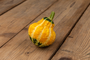 tiny decorative pumpkin of unusual shape, yellow with green stripes on a old wooden boards