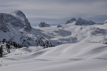 winter landscape