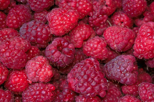 Closeup of raspberries for background/texture