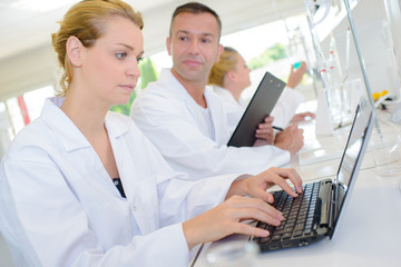 transferring data into the laptop