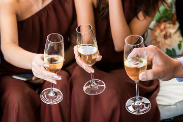 Hands holding glasses and toasting, happy festive moment, luxury celebration concept.