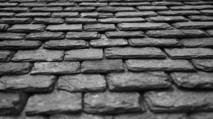 Slate roof tiles.