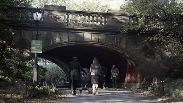 Central Parck  Bridge 