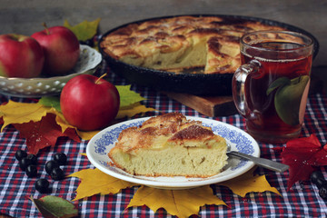 Pie of apples. Charlotte. Food still life.