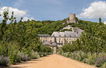 Fototapeta na wymiar Château de la Roche Guyon