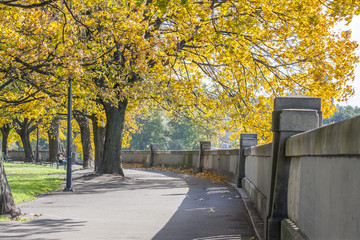 An autumn walkway along the Wisla river in Cracow, Poland.