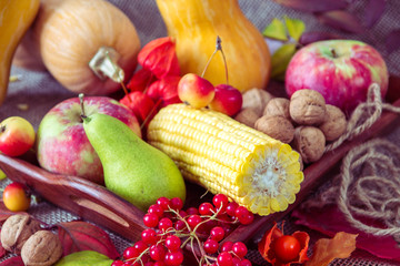Autumn vegetables, berries and fruits. Seasonal autumn food - pumpkins, corn, apples, pear, viburnum, physalis