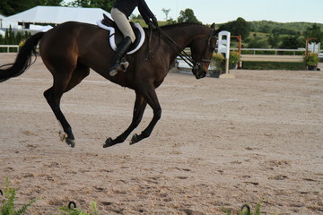 Obraz premium Horseriding