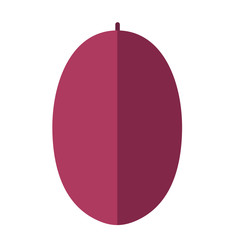 Plum vector flat icon