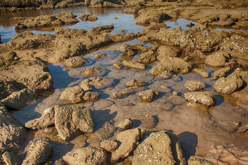 large boulders at low tide on the sea