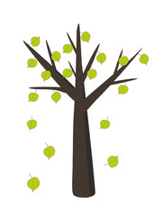 Obraz premium linden tree with falling leaves in simple flat design vector illustration