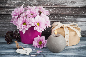 Pink chrysanthemum in concrete pot