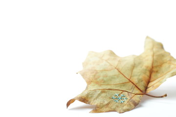 Naklejka premium hand embroidery on sycamore leaf in front of white background - snowflake theme - autumn / winter decoration- foreground and background blanked out blurry