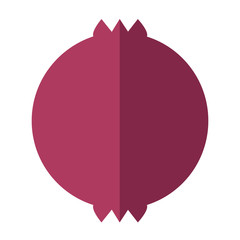 Pomegranate Vector Flat Icon