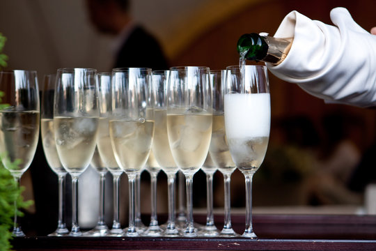 The waiter in a white glove pours the champagne into the glasses from the bottle in the restaurant. Catering service, banquet. green on the left side of the photo. official event.