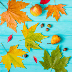 Beautiful maple leaves on blue background