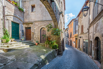 San Pellegrino medieval district in Viterbo, Lazio (Italy).