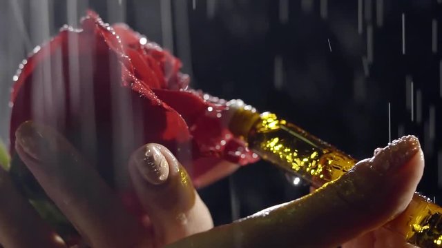 Woman puts some parfume on the rose's bud