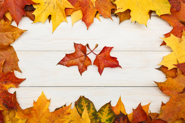 Group of maple leaves on white wooden background. Autumn concept.